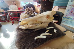 18. 3. 2026 Beseda s myslivcem