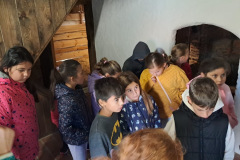 03b89117-3f92-4c7f-bed4-6f07995446dd