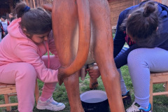 112415d8-0f9c-41d0-997b-59fd56f0f40a