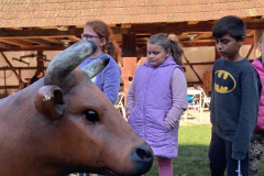 273965ed-8fa7-43c4-93d1-cdd403022b4e