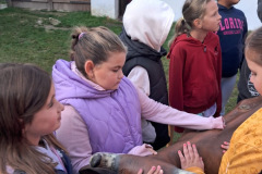 2ea2f4b6-25e1-471e-86cb-0925e8e4b826