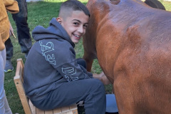 50ba276f-f86f-487c-bab3-dd7121ff09d5