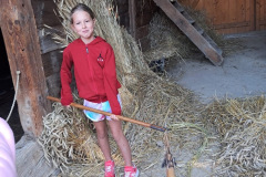 5f233b4c-5f67-40e3-8377-7e114e604e04