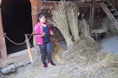 67052c97-62a9-4bd3-9c1d-5e44a81de616