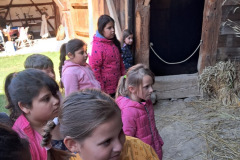 68408172-0c63-4168-bc3d-4d59b114edaa