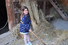 79ba34e1-c722-427b-9f1d-10990b67279e