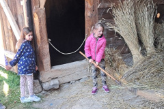 7fd22fd4-2221-47fe-8a8d-25d5fdf1b6d3