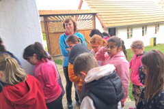 8cb648a2-0458-4211-8e6a-30ba0a5c4f1a