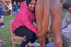 9582191b-32f3-42f7-b6c3-53963dd34ac5