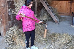 aa3edfce-32b1-4b1b-9170-b731dc15207c