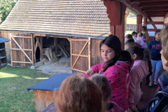 bee162ba-49e4-4eeb-b863-d7fb07d8b12d