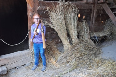 c06bde63-96f9-4042-91a5-f38e36a22386