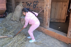 c84e32ab-e603-43f2-b764-78ffc9af2c4b