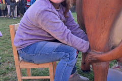 cc27d1bf-d888-459e-88cd-8a861ac77097