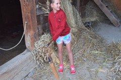 d1698fad-29e4-46f5-bd4e-3ba4cdb34717