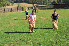 effb5379-54ba-4f01-8c42-c65ec9cb75cf