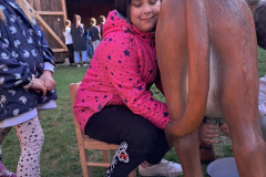 faa3e3c7-4fb2-4ef9-a29f-ecac938b9f13