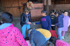 fe156bc7-372b-407c-9b1e-6ecf01ab27d7