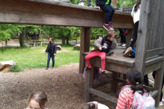 b75281b1-b077-458e-9de8-bc186f6f9ce6