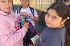 1efe2939-8e06-4bf2-a051-4366b1e5b84f