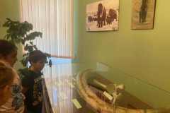 4e45490f-0b8f-40e6-9cb0-786c73f0f174