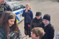 8e7f9934-c0e9-4f95-9482-906759bfbb07